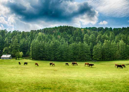 traveldilse-Wonderful Dalhousie